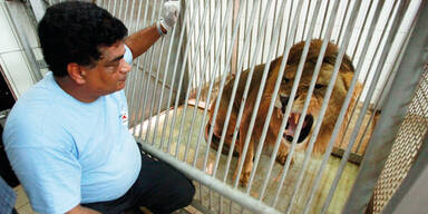 Wiener Ärzte retten Gaddafis Tiger