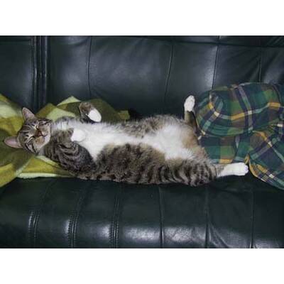 Alle lustigen Urlaubsfotos