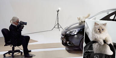 Choupette Lagerfeld im Opel Corsa Fotokalender 2015