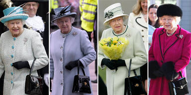 Ihr treuester Wegbegleiter