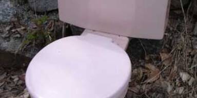 toilette