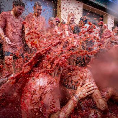 Die größte Tomatenschlacht der Welt