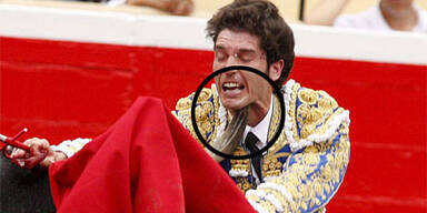 Wieder Torero von Stier aufgespießt