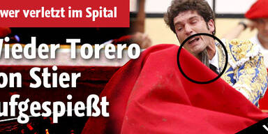 Wieder Torero von Stier aufgespießt