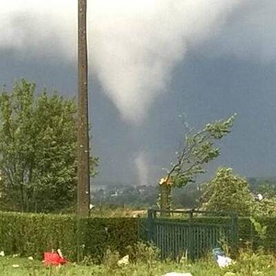 Bäume stürzten auf Autos