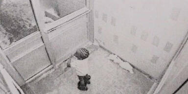 Toronto trauert um toten Dreijährigen