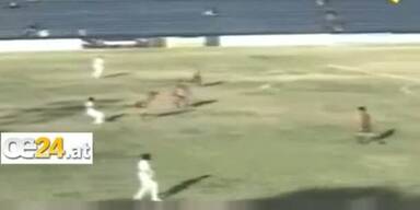 Referee gesperrt wegen klarem Tor