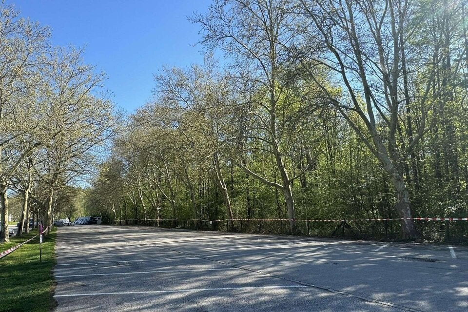 Bäume beim Parkplatz gefällt.