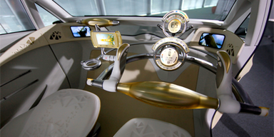 Tokyo Motorshow: Sparsam und sportlich