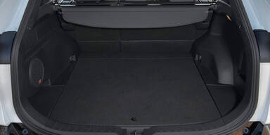 Neuer Toyota RAV 4 startet in Österreich