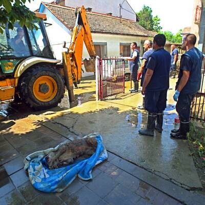 Die Katastrophe in Bildern