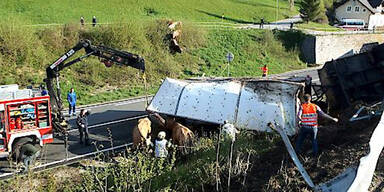 Unfall mit Stiertransporter in Bad Ischl