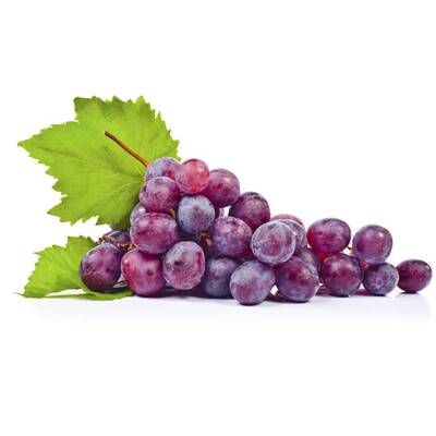 Austern haben einen hohen Anteil von Zink. Zink moduliert das bei Allergien fehlgeleitete Immunsystem.