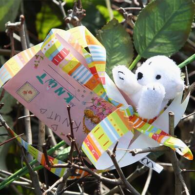 Berlin trauert um Eisbär Knut