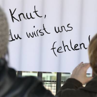 Berlin trauert um Eisbär Knut