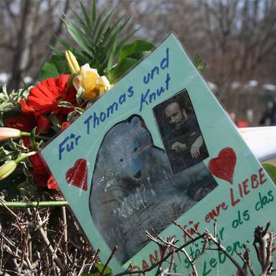 Berlin trauert um Eisbär Knut