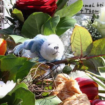 Berlin trauert um Eisbär Knut