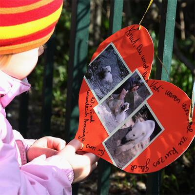 Berlin trauert um Eisbär Knut