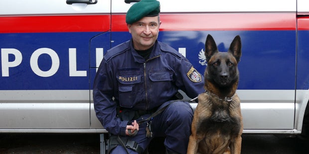 Weitere Koffer mit Leichenteilen entdeckt