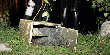 Drei Tresore aus der Donau gefischt