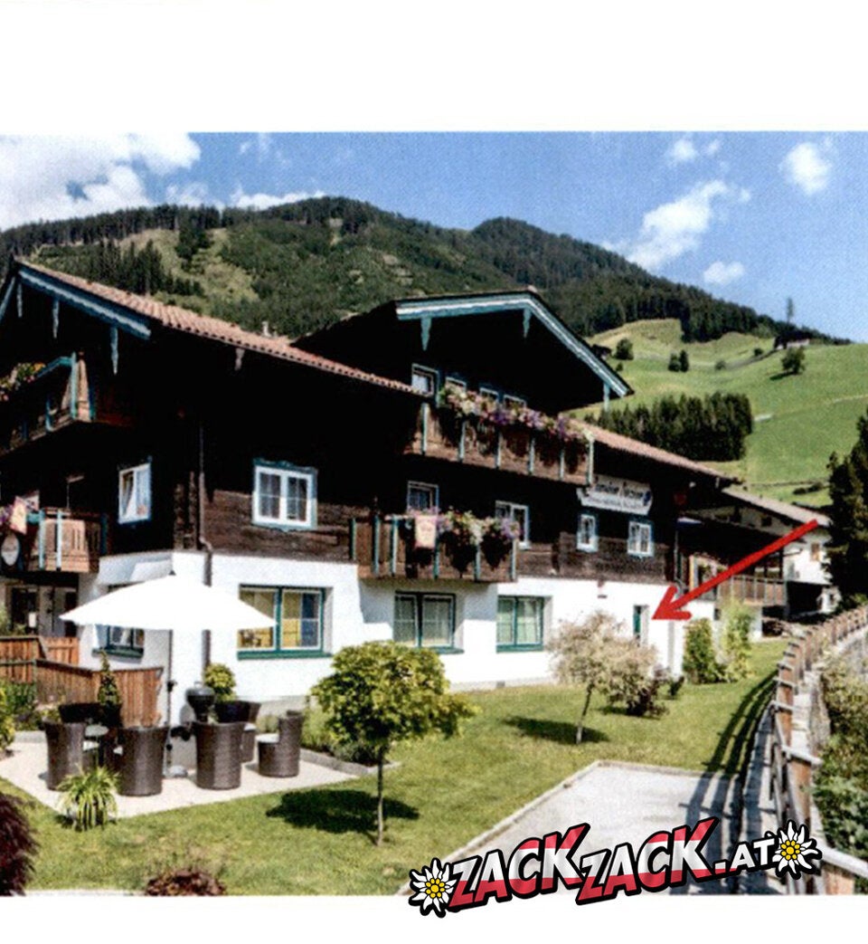 Das ist der geheime FPÖ-Gold-Tresor