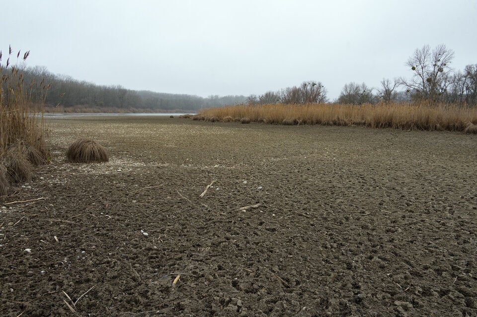 Umweltschützer fordern Rettungspaket für Untere Lobau