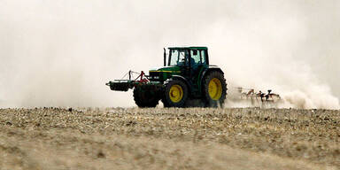 Dürre kostet hunderte Millionen Euro