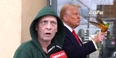 trump mu vogeöl.png