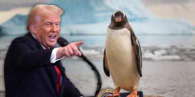 trump pinguin.png
