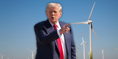trump windräder.png