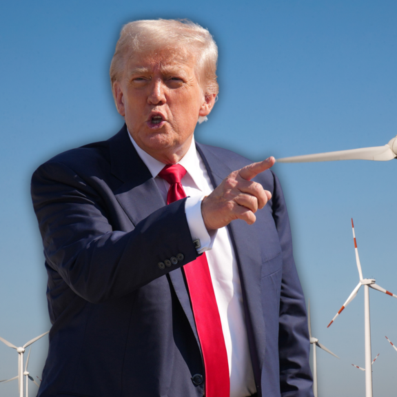 Donald Trump nennt Windkrafträder Betrug