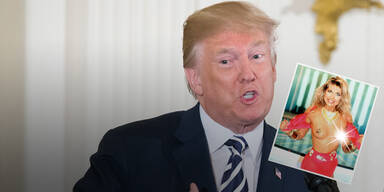 Deutsches Playmate: "Ich sah Trump beim Sex zu"