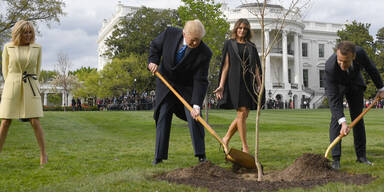 Trump Macron