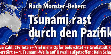 Stärke 8,8: Tsunami-Alarm vor Chile