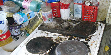 Mann hielt mehr als 80 Haustiere