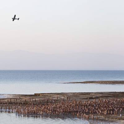 Hunderte Nackte am Toten Meer