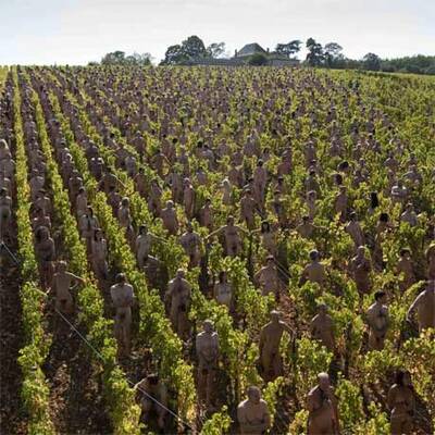 Spencer Tunick - 700 Nackte in französischem Weinberg