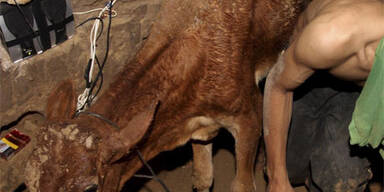 Vier Tote bei Einsturz von Schmuggel-Tunnel