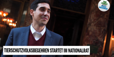 tvb nationalrat 2.PNG