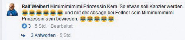 Prinzessin Kern: Das sagen die Österreicher
