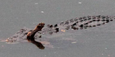 Hinter diesem Foto steckt eine traurige Geschichte