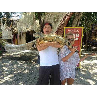 The Hoff macht Ferien