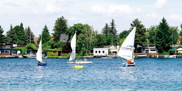 Mit Schildkröten in der Alten Donau schwimmen