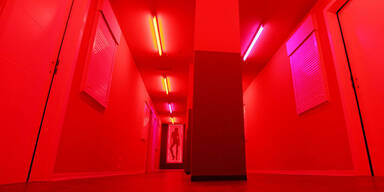 S&auml;ure-Attentat auf Frau in Laufhaus