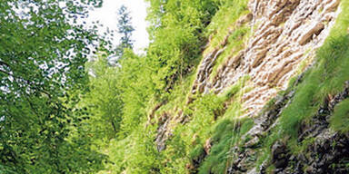 u1_bergrettung_Goisern