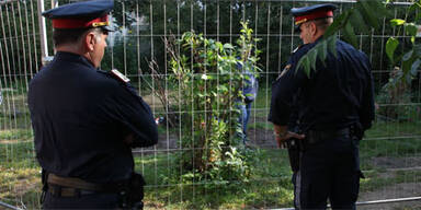 Diebe traktierten Opfer mit Elektroschocks