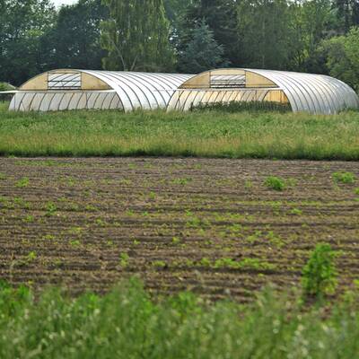 Dieser Hof wurde nun geschlossen