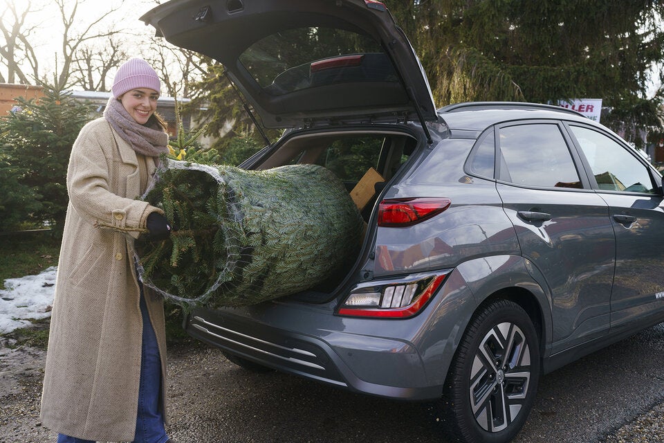 Christbaum Transport