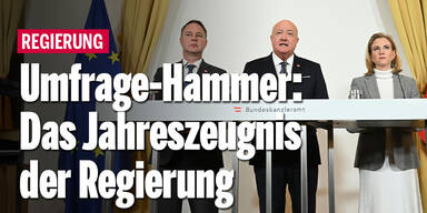 umfrage hammer