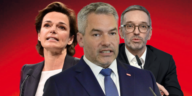 Umfrage: Regierung Türkis-Grün im Teuerungs-Tief